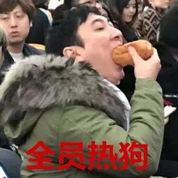 娱乐八卦吃瓜图片表情包大全