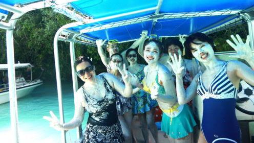 娱乐吃瓜君折耳,折耳背后的故事与真相